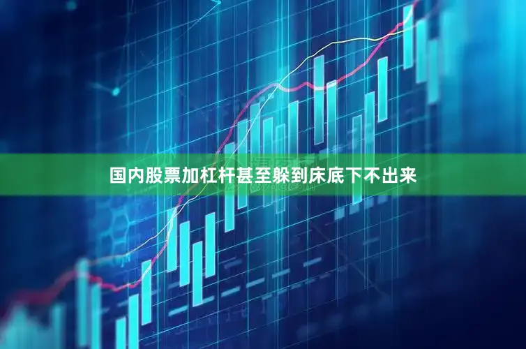 国内股票加杠杆甚至躲到床底下不出来