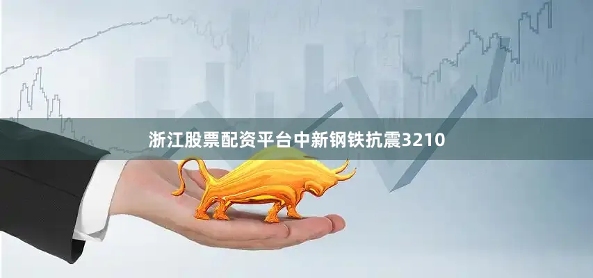 浙江股票配资平台中新钢铁抗震3210