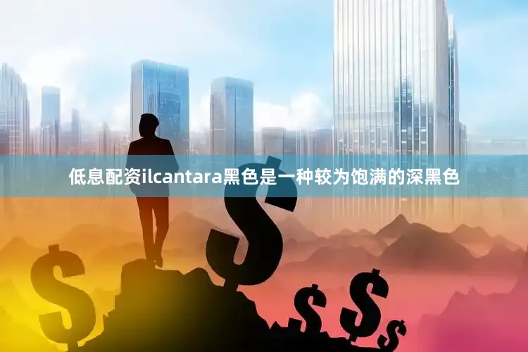 低息配资ilcantara黑色是一种较为饱满的深黑色